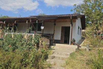 Casă cu 3 camere cu Teren 4600 Mp în Măstăcani - 4