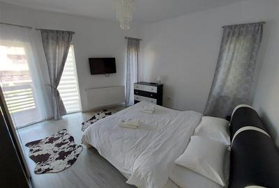 Complex Turistic Pensiune Si Vila Predeal - 9