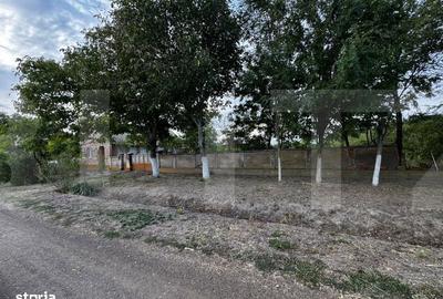 Casă cu 4 camere cu Teren 3892 Mp în Cebza - 4