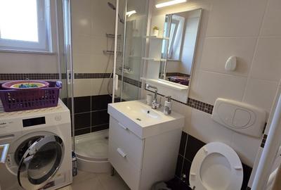 Apartament cu 3 camere decomandat, mobilat în Aradului - 8