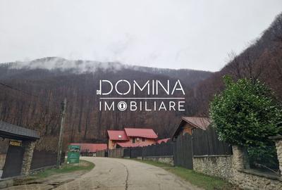 Teren Construcții intravilan de 4416 mp, în Peștișani - 4