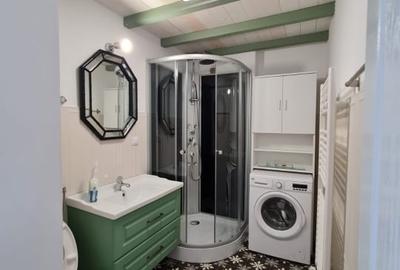 Proprietar ofer spre inchiriere 3 camere Parcul Carol - 2