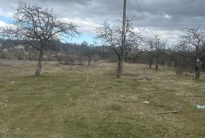 Teren de 4400 mp, în Voila