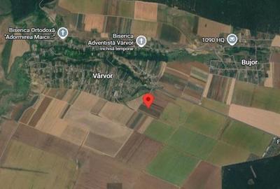 Teren extravilan Varvoru de Jos, jud Dolj - 1