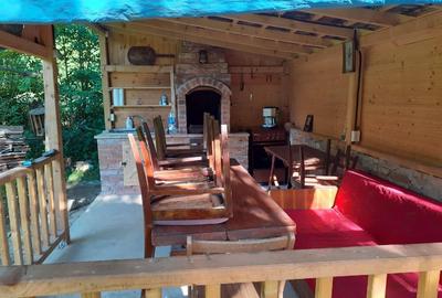 Cabana zona de deal în Apuseni - 8