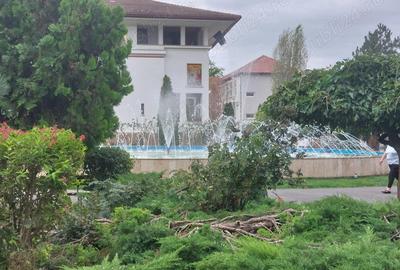 Dacia - apartament cu 3 camere - 5