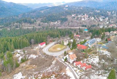 Teren Construcții intravilan de 3987 mp, în Orizont - 2