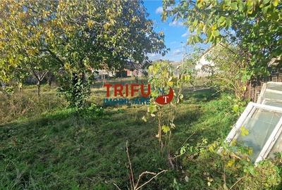 Casa de vanzare 2 camere zona Barabant - 12