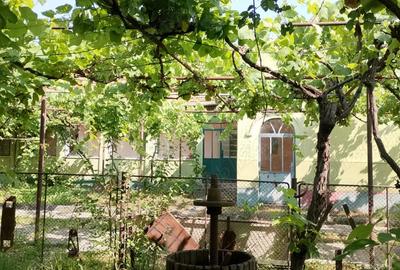 Vand casa cu teren 5725 mp, livada 100 pomi fructiferi, hala 220 mp in Dragoiesti, jud Timis - 2
