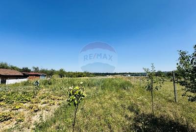 Teren Construcții intravilan de 6210 mp, în Apateu - 18