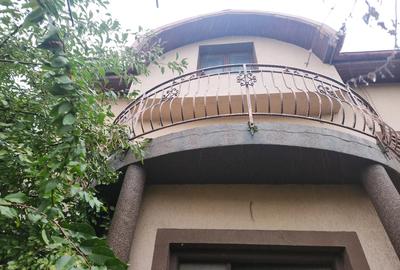 Casa Comuna Berceni cartier nou - 1