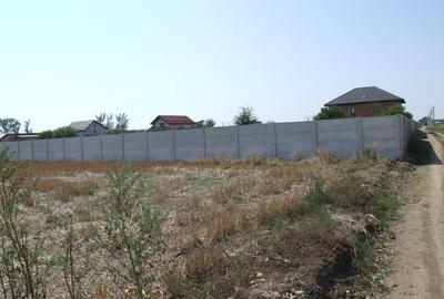 Teren intravilan de 9817 mp, în Domnești - 4