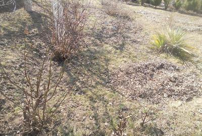 Teren de 500 mp, în Dărmănești