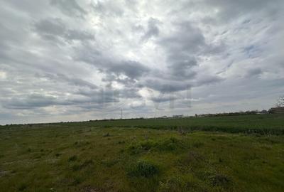 Teren de Popesti Leordeni - 3