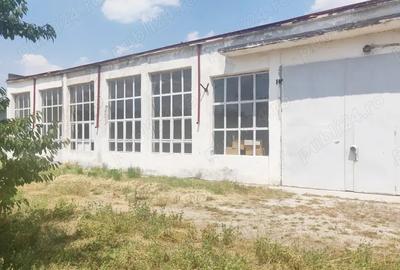 Spațiu comercial, de 288 mp, în Potlogi - 1