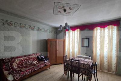 Casa cu teren 32 ari Viile Tecii, la 30 km de Bistri?a - 16