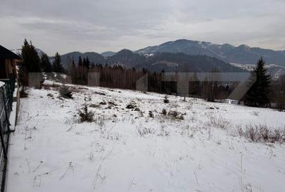 Teren de 10746 mp, în Fundu Moldovei - 5