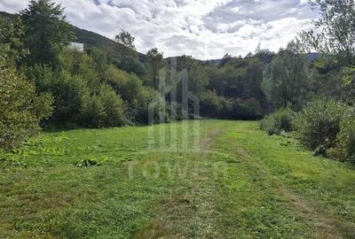 Teren Intravilan de Vanzare 3622 mp Rau Sadului - 3