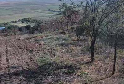 Casă cu 3 camere în Băneasa - 9