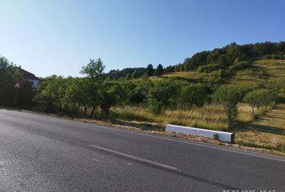 Vând  casă mare cu etaj  8 camere curte cu filigorie  Tinăud -Alesd - 7