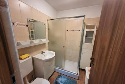 Apartament cu 2 camere semidecomandat în Giulești - 5