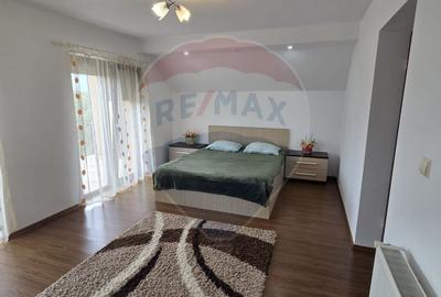 Casa de vis cu 4 dormitoare intr-o zona linistita din Salonta - 24