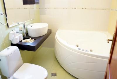 Apartament cu 2 camere decomandat, mobilat în Zorilor - 9