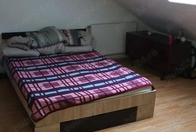 Garsonieră nedecomandată în Terezian - 4