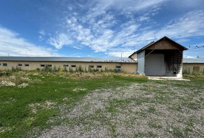 Proprietate specială, de 4,850 mp, în Vitănești - 4