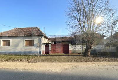 Casă cu 5 camere cu Teren 5000 Mp în Central - 1