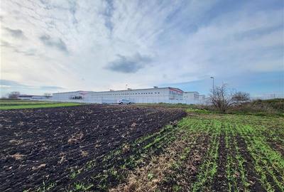 Vanzare Teren pretabil constructie hale, 28.100 mp, Halchiu - 9