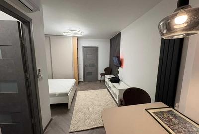 Garsoniera de inchiriat Dristor - 2