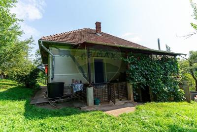 Casă individuală cu 3 camere cu Teren 9995 Mp în Ormindea - 3