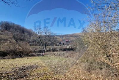 Teren de 4985 mp, în Sascut - 12