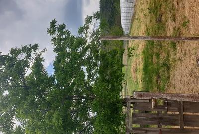 Casă cu 4 camere în Topliceni - 6