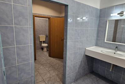 Spațiu industrial, de 1,189 mp, în Pantelimon - 26