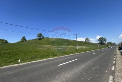 Teren 7,430mp Copalnic / Strada principala - 5