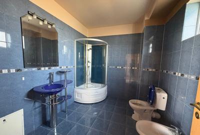 Proprietate industriala - Tg. Jiu - teren + hala + birouri - 4