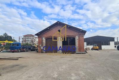 Spatiu industrial - hala productie si depozitare - PUCIOASA