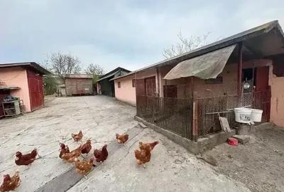 Casă cu Teren 5000 Mp în Chișcădaga