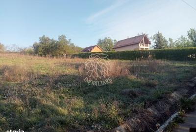 Teren de 10000 mp, în Aluniș - 3