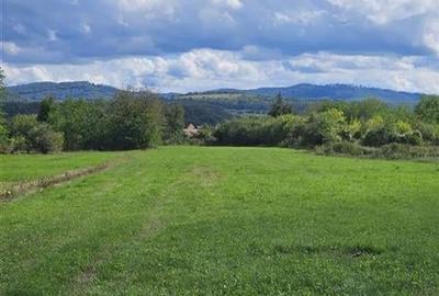 TEREN INTRAVILAN( LOC DE CASA) DE VANZARE IN CASIN - 2