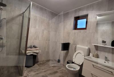Casă cu 4 camere cu Teren 1475 Mp în Teremia Mare - 5