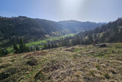 Spațiu comercial, în Pojorâta - 7