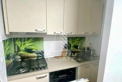 Apartament cu 2 camere, centrala proprie, zona Mehala - 6