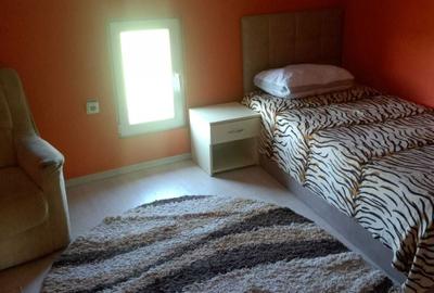 Casă cu 4 camere în Pantelimon - 3