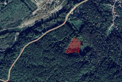 Teren de 8329 mp, în Ciuta - 6