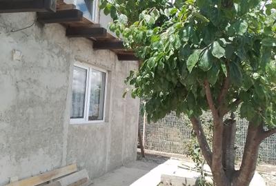 Casă cu 2 camere în Central - 1