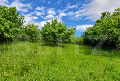 Casa 3 camere si teren 4873 mp in Pietroasa, Moldovenesti - 14