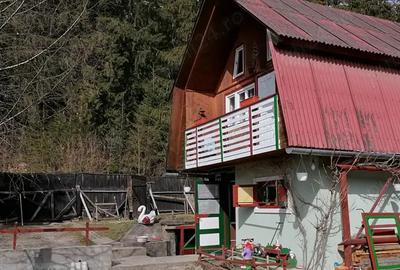 Casa de vacanta Casa de vacanta - 3